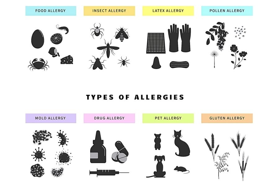 Types of allergies