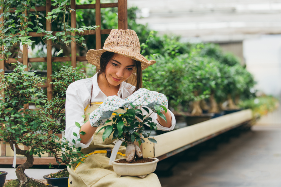 gardening